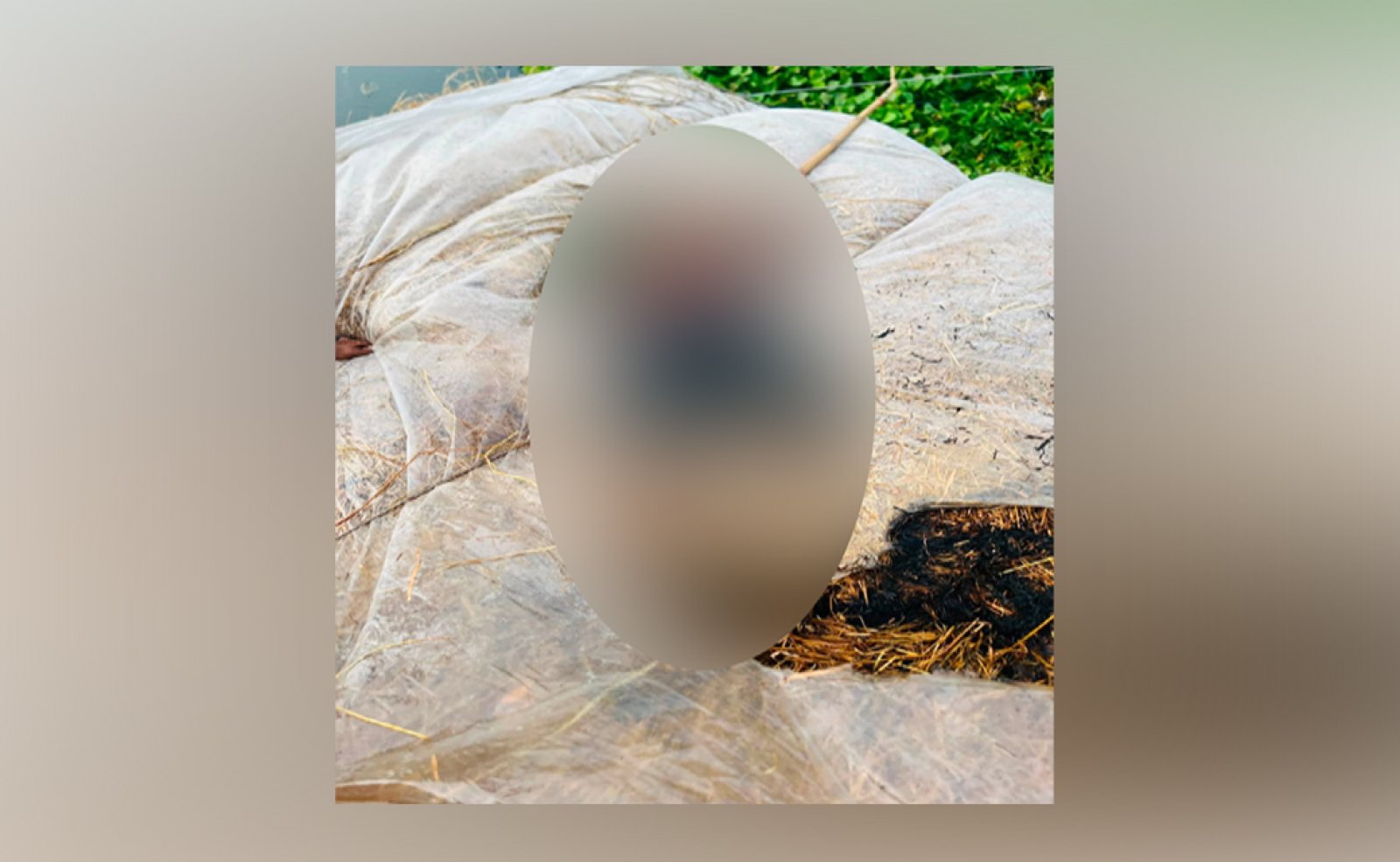 সিংড়ায় বিদ্যুৎস্পৃষ্টে খড় ব্যবসায়ির মৃত্যু