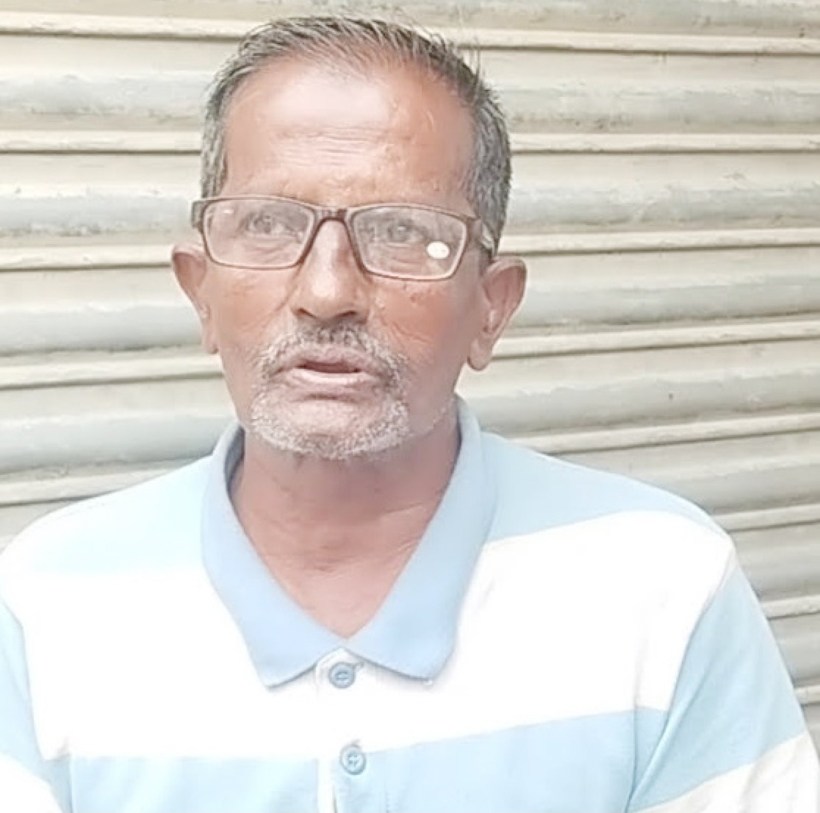 নড়াইলে গরুকান্ড নিয়ে সাবেক ইউপি সদস্য সুবর্ণ শিকদারকে হয়রানির অভিযোগ