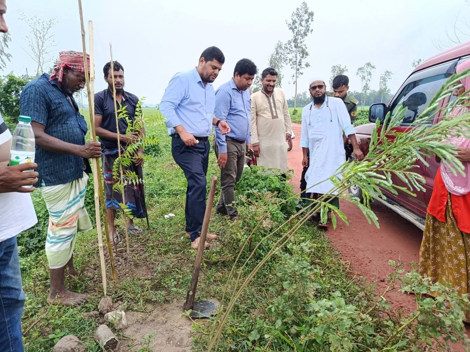 সিংড়ায় বিয়াশ-রাতাল রাস্তায় বৃক্ষরোপণ উদ্বোধন