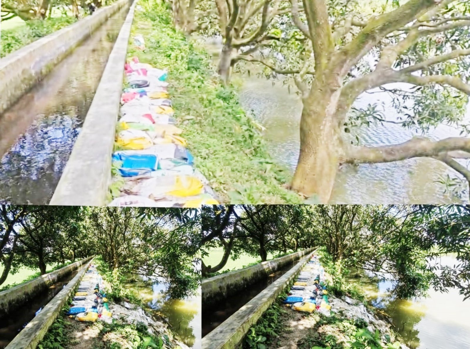 চাঁপাইনবাবগঞ্জে ঝুঁকিতে অগ্রণী সেচ প্রকল্পের প্রধান ক্যানেল ॥ ফসল নিয়ে ২৫০০ পরিবারের শঙ্কা