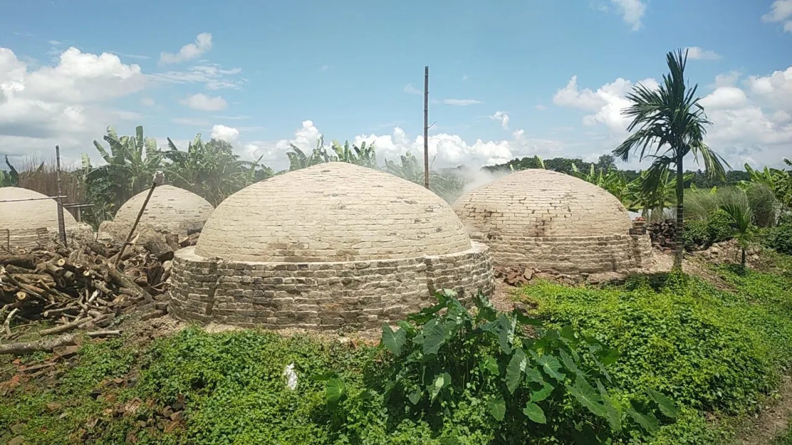 কালিয়ায় ১০টি অবৈধ কয়লার চুল্লি-পরিবেশ বিপর্যয়ের আশঙ্কা