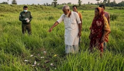 চুয়াডাঙ্গায় কৃষিজমিতে বিষ প্রয়োগে ৩০ দেশীয় পাখির মৃত্যু