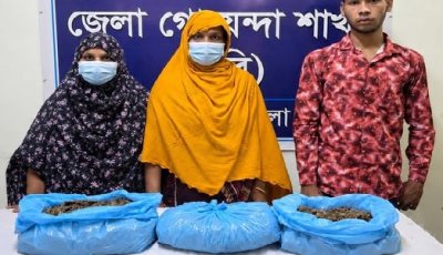 চাঁপাইনবাবগঞ্জে ডিবির অভিযানে গাঁজাসহ ৩ জন গ্রেফতার