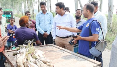সিংড়ায় জবাই করা ৫০ বক উদ্ধার ॥ ৫ জনকে জেল-জরিমানা