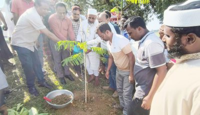 গোমস্তাপুরে সড়কের দুই পাশে ৫ হাজার গাছ লাগিয়ে সবুজায়নের নতুন উদ্যোগ