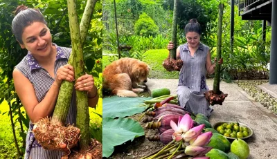 জয়ার কৃষি : ফলনে অবাক ভক্তরা, উচ্ছ্বসিত অভিনেত্রীও