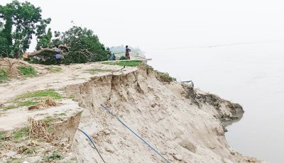 পদ্মার ভাঙনে বিলীন বিভিন্ন স্থাপনা ও ফসলী জমি ॥ পানিবন্দি ১২’শ পরিবার